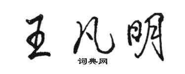 骆恒光王凡明行书个性签名怎么写