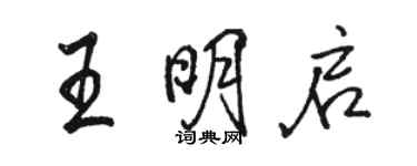 骆恒光王明启行书个性签名怎么写