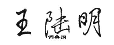 骆恒光王陆明行书个性签名怎么写
