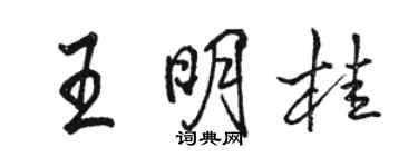 骆恒光王明桂行书个性签名怎么写
