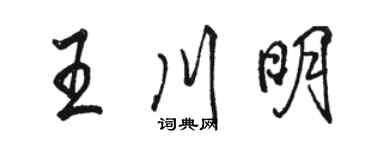 骆恒光王川明行书个性签名怎么写