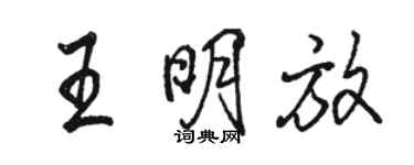 骆恒光王明放行书个性签名怎么写