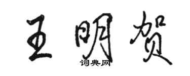 骆恒光王明贺行书个性签名怎么写