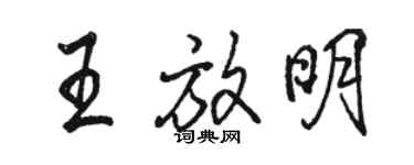 骆恒光王放明行书个性签名怎么写