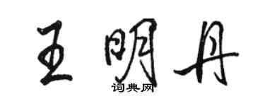 骆恒光王明丹行书个性签名怎么写