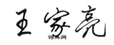 骆恒光王家亮行书个性签名怎么写