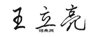 骆恒光王立亮行书个性签名怎么写