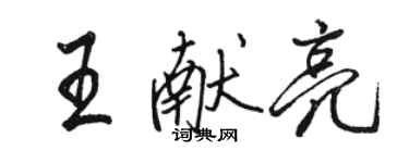 骆恒光王献亮行书个性签名怎么写