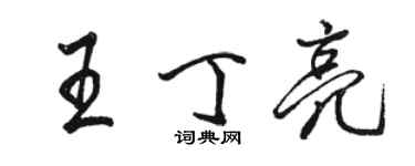 骆恒光王丁亮行书个性签名怎么写