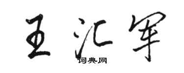 骆恒光王汇军行书个性签名怎么写