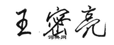 骆恒光王密亮行书个性签名怎么写
