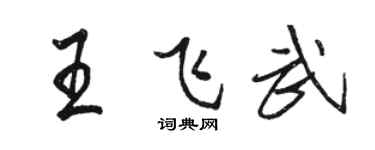 骆恒光王飞武行书个性签名怎么写