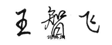 骆恒光王智飞行书个性签名怎么写