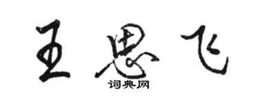 骆恒光王思飞行书个性签名怎么写