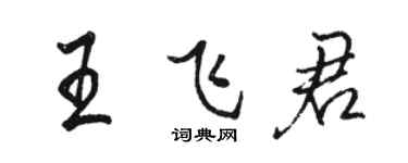 骆恒光王飞君行书个性签名怎么写