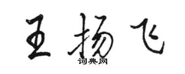 骆恒光王扬飞行书个性签名怎么写