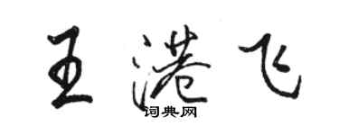 骆恒光王港飞行书个性签名怎么写