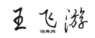 骆恒光王飞游行书个性签名怎么写