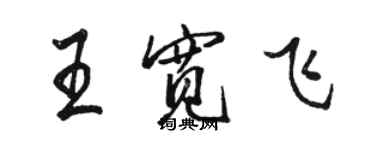 骆恒光王宽飞行书个性签名怎么写