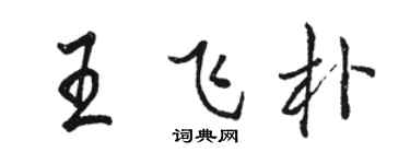 骆恒光王飞朴行书个性签名怎么写