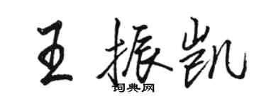 骆恒光王振凯行书个性签名怎么写