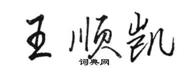 骆恒光王顺凯行书个性签名怎么写