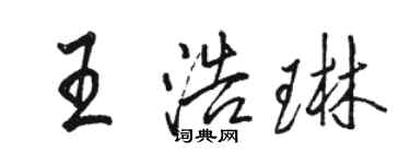骆恒光王浩琳行书个性签名怎么写