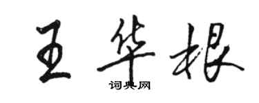 骆恒光王华根行书个性签名怎么写