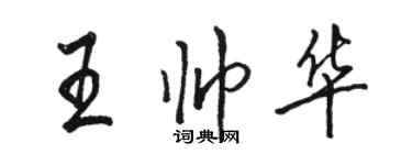 骆恒光王帅华行书个性签名怎么写