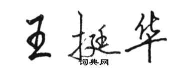 骆恒光王挺华行书个性签名怎么写