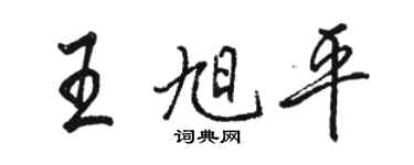 骆恒光王旭平行书个性签名怎么写