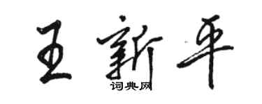 骆恒光王新平行书个性签名怎么写