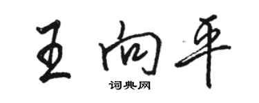 骆恒光王向平行书个性签名怎么写