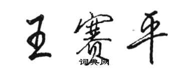 骆恒光王赛平行书个性签名怎么写