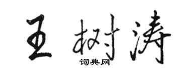 骆恒光王树涛行书个性签名怎么写