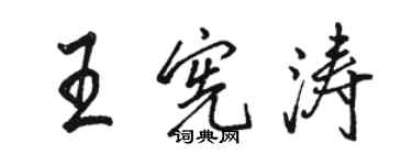 骆恒光王宪涛行书个性签名怎么写