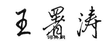骆恒光王署涛行书个性签名怎么写
