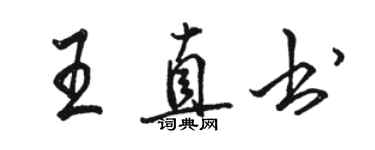 骆恒光王直书行书个性签名怎么写