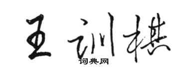 骆恒光王训棋行书个性签名怎么写
