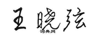骆恒光王晓弦行书个性签名怎么写