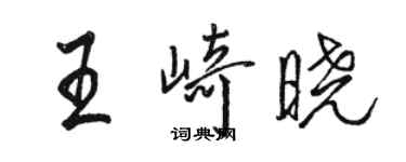 骆恒光王崎晓行书个性签名怎么写
