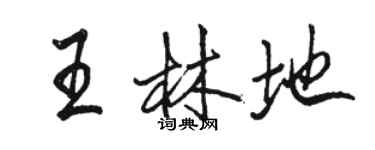 骆恒光王林地行书个性签名怎么写