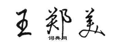 骆恒光王郑美行书个性签名怎么写