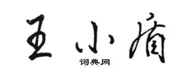 骆恒光王小盾行书个性签名怎么写