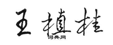 骆恒光王植桂行书个性签名怎么写