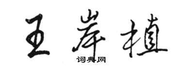骆恒光王岸植行书个性签名怎么写