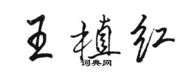 骆恒光王植红行书个性签名怎么写