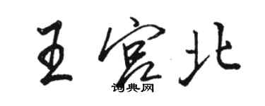 骆恒光王宫北行书个性签名怎么写