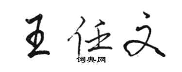骆恒光王任文行书个性签名怎么写