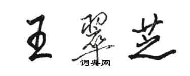 骆恒光王翠芝行书个性签名怎么写